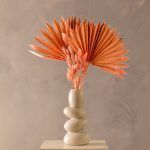 sunburst palm leaf and bunny tails set