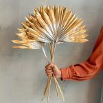 sunburst palm leaf