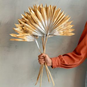 sunburst palm leaf