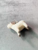 thumbnail for video of felt ram
